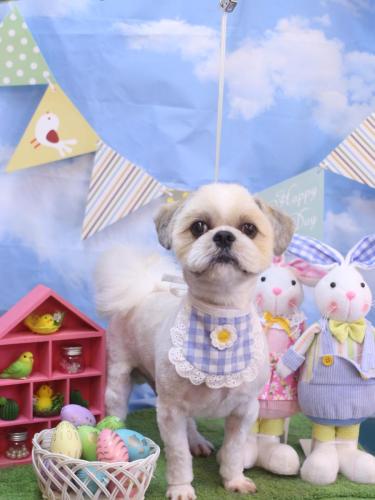 20240307ララくん